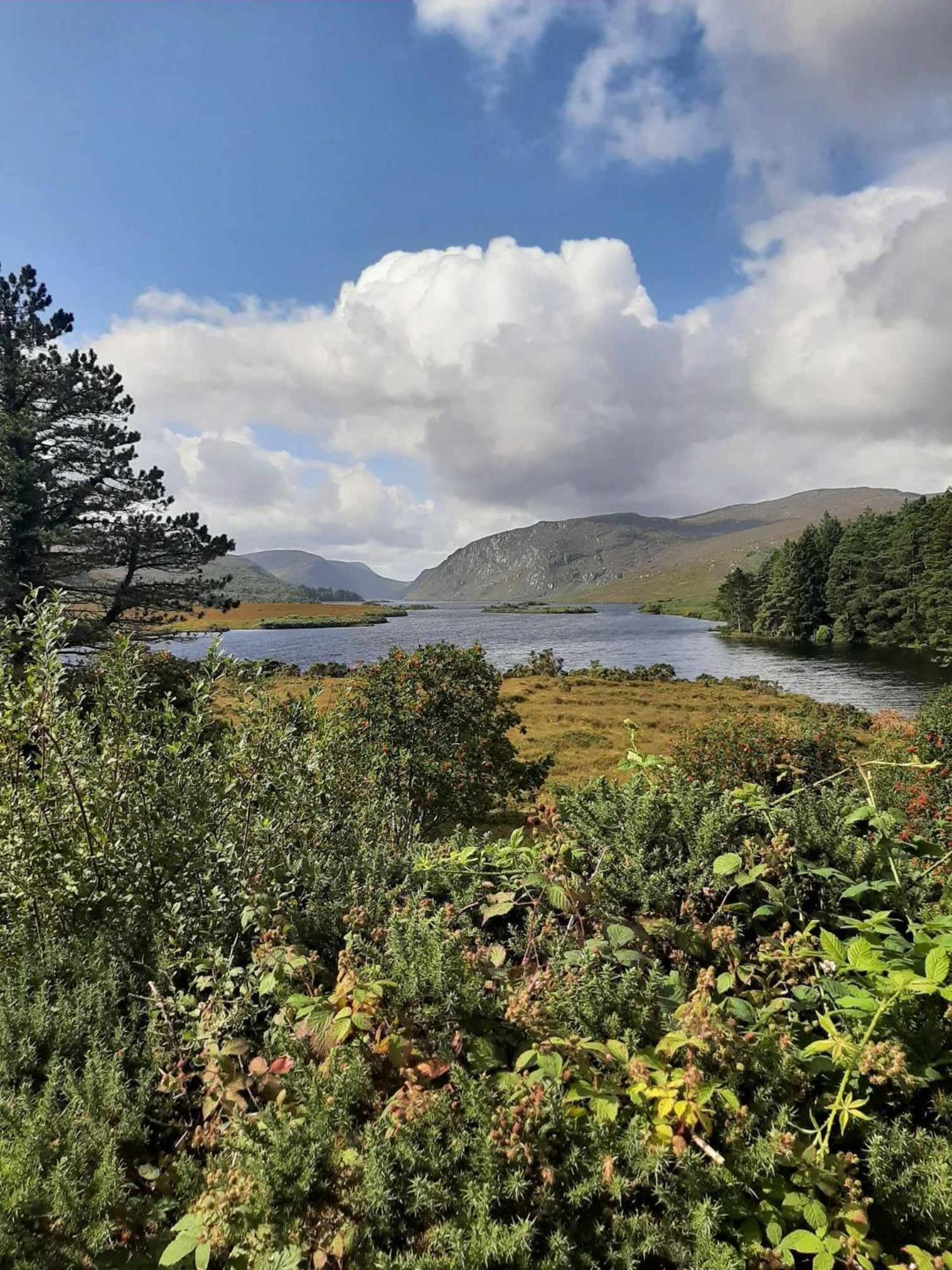 Ivy Lodge Letterkenny Esterno foto